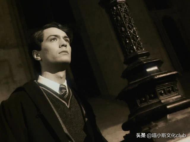 哈利波特男巫隐藏头发,哈利波特亲世代