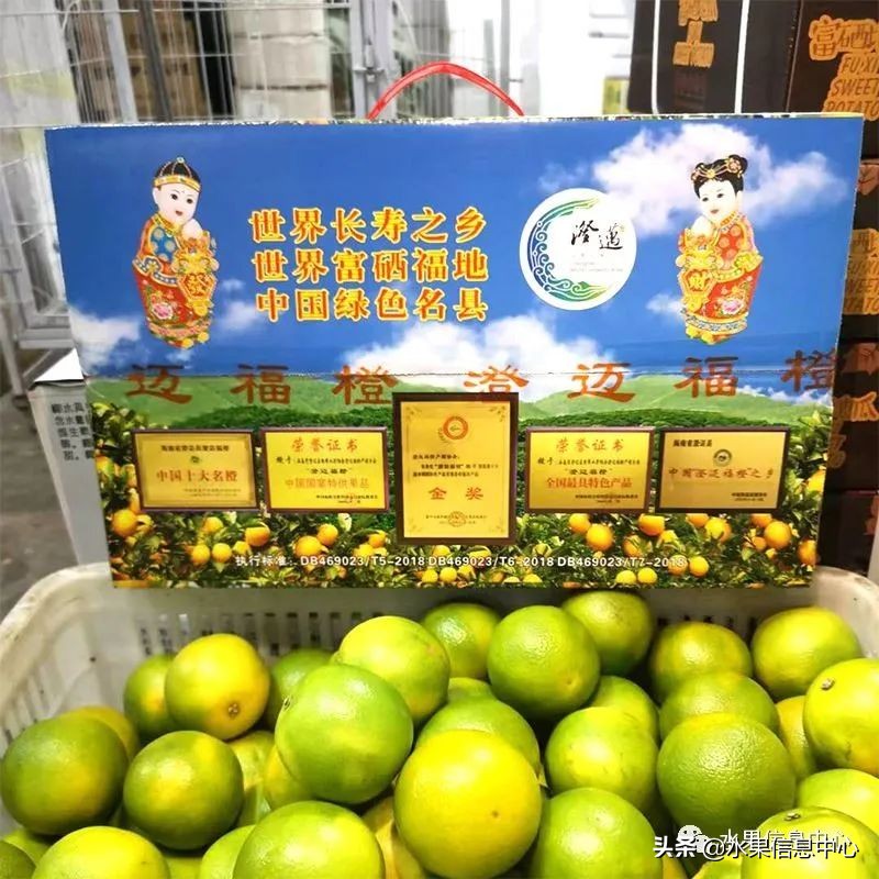 水果天堂：海南水果品种及上市时间表