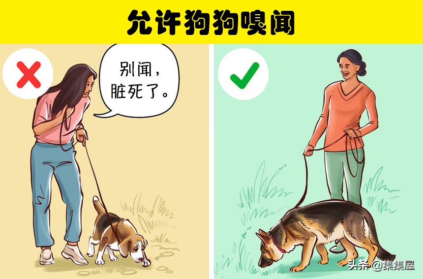 狗狗总是撑开牵引绳,狗狗老是挣脱脖套背带怎么办