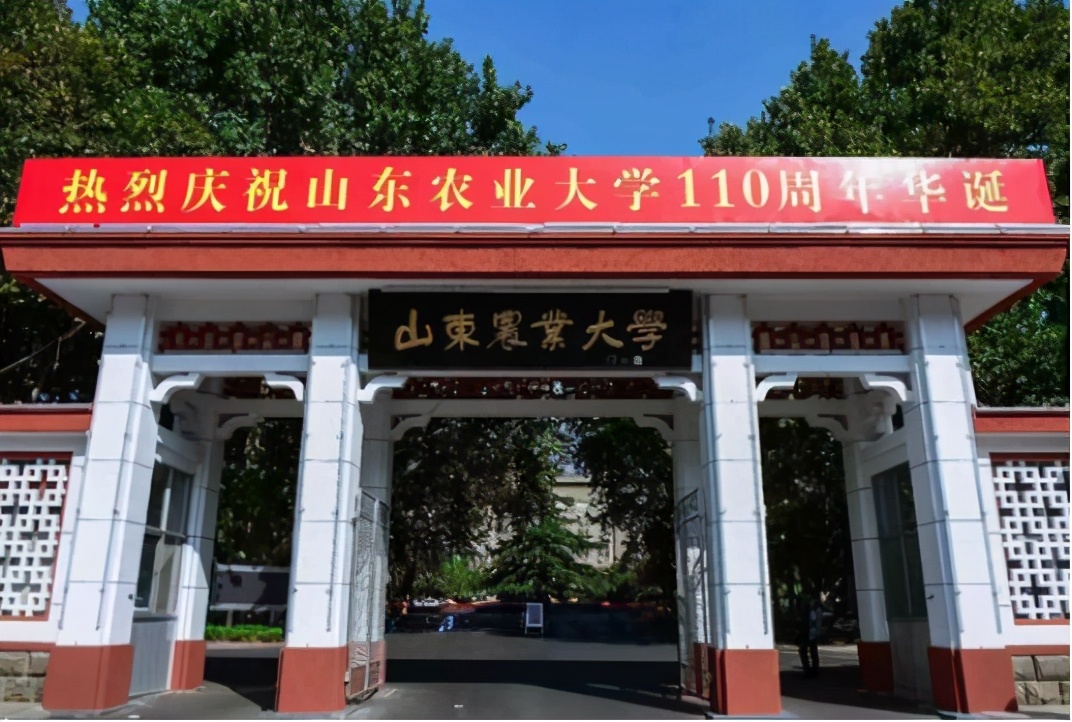 最容易进中国烟草的专业推荐,进烟草最好的专业