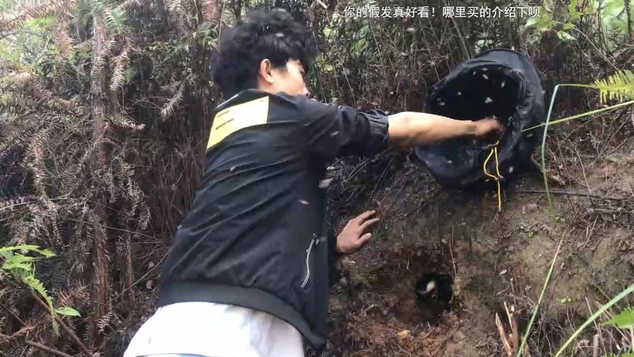 野外地里的蜜蜂怎么收进箱子,野外的蜜蜂怎样收回家里来养