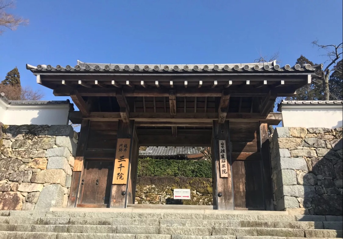 妯辫姳涔嬫梾澶ч槳,鏃ユ湰妯辫姳涔嬫梾