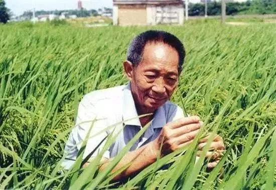 抵制饭圈文化树立正确价值观,倒牛奶事件畸形的饭圈文化