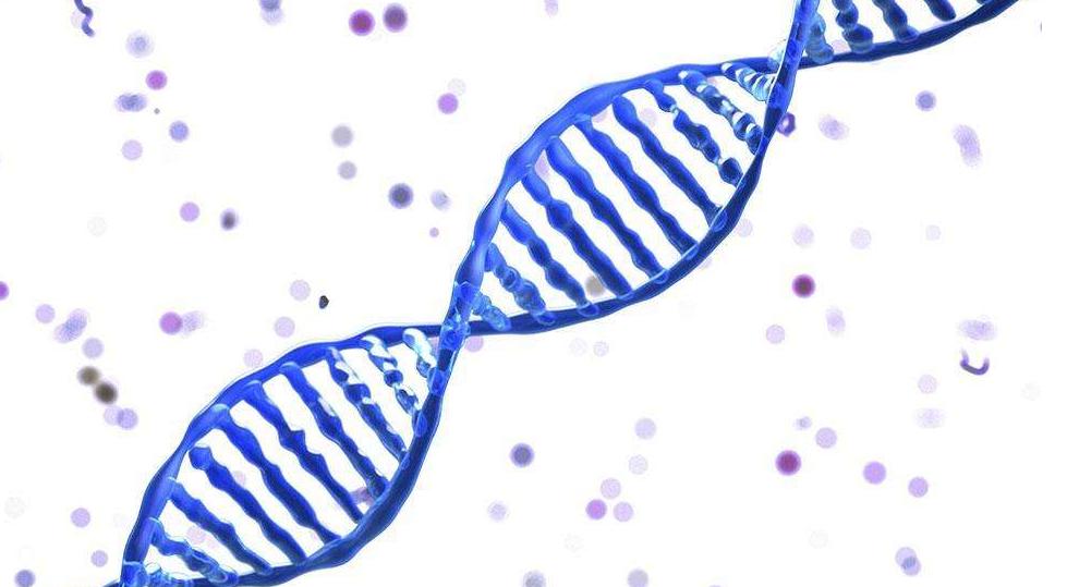 生物学的8大要领,生物学的几种教学方法