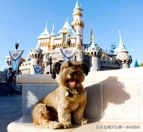 99个冷知识,九十个冷知识