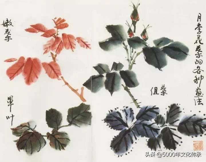 国画技法月季花写意画法详解,中国画写意月季花的详细画法