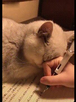 开心图文高清图片,开心图文原创