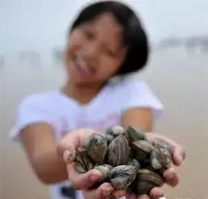 为什么烟台海边出现那么多海鲜,烟台的海为什么冒出那么多海鲜