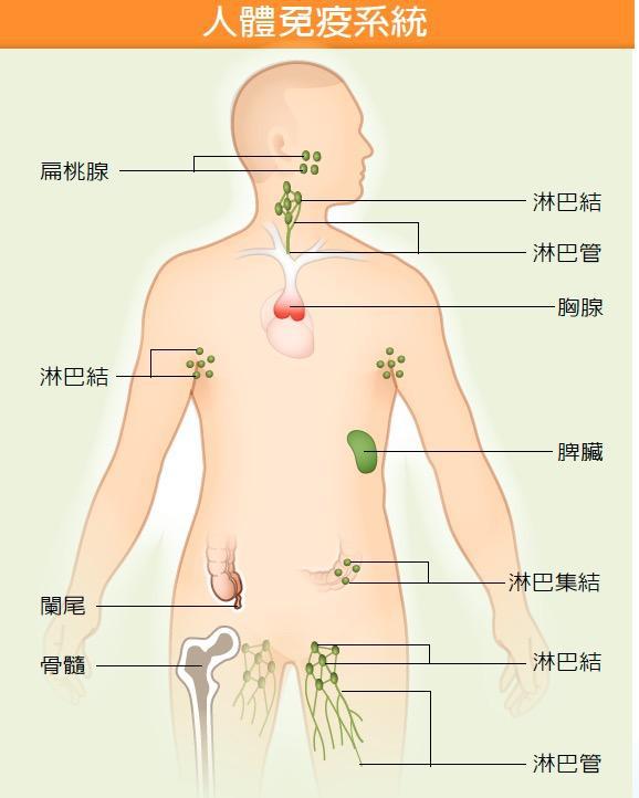 *举止性**传播艾滋病率很低，但艾滋病人比例却很高，为什么会这样？