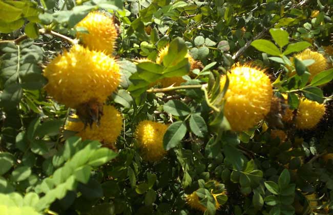 践行两山理念厚植高质量发展底色,践行两山理论推动新时代农村建设