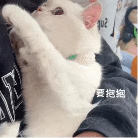 可爱表情包猫猫超开心,猫猫表情包可爱粉粉嫩嫩生气