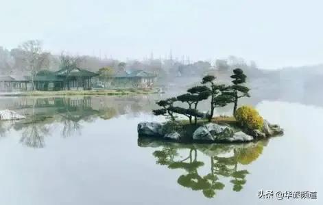 如何快速领会书评,如何提高书评写作