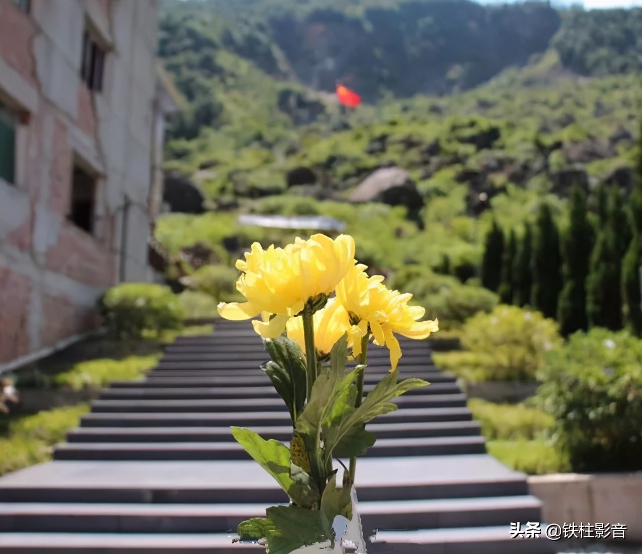 汶川地震十三周年纪念日是哪一天,汶川地震十三周年