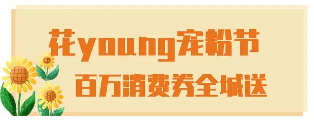 十堰向日葵花海打卡网红地,十堰美丽的地方