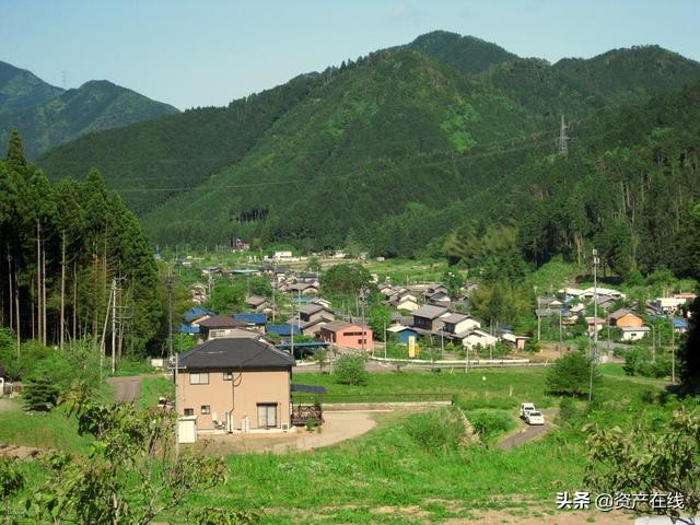 桂平莫某某,海南莫某某