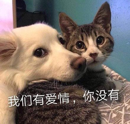 搞笑gif趣图姑娘有话好好说别动手,开心一刻gif搞笑动图