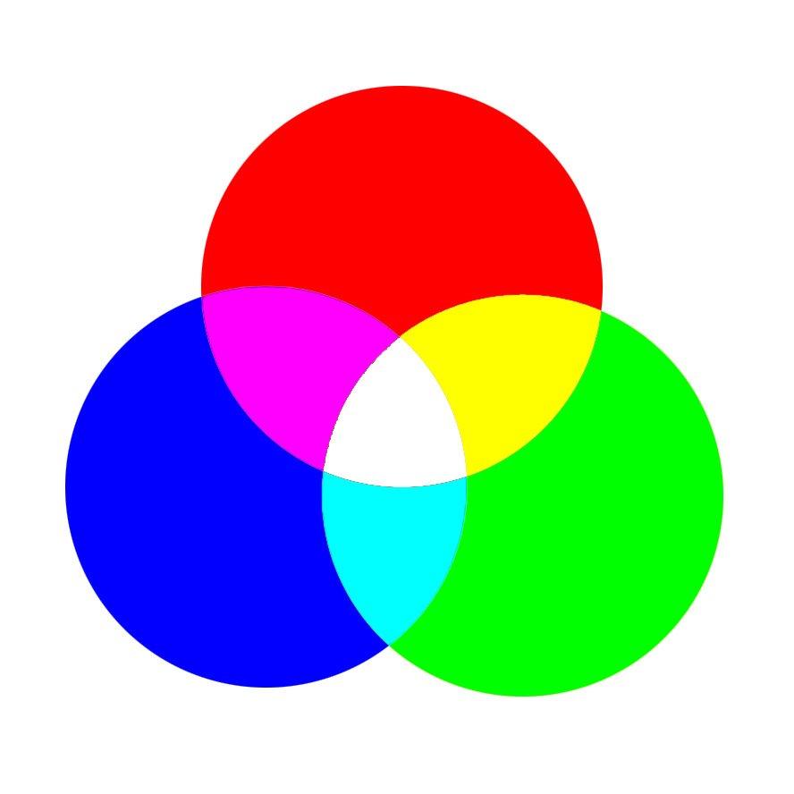 色盲眼中的世界是不是真正的颜色,色盲眼里的世界是什么样子的