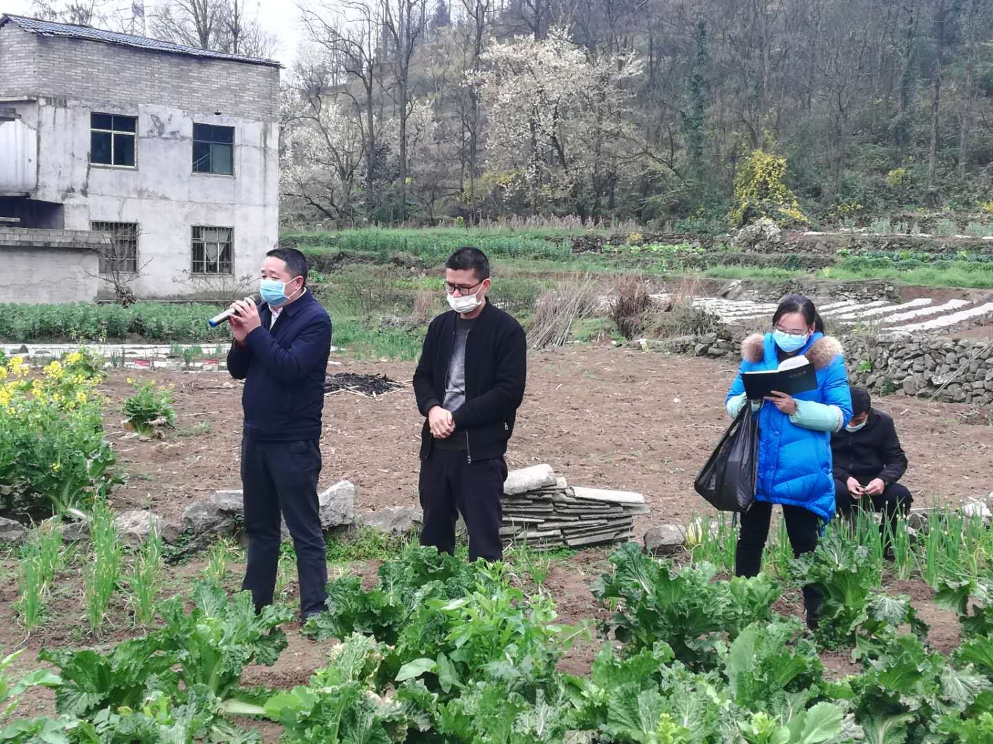 疫散花开终有时下一句,疫散花开美好启程