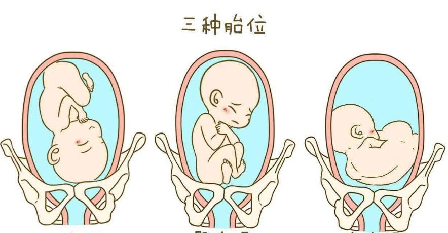 孕期如何判断宝宝胎心,孕期如何看出宝宝胎心正常