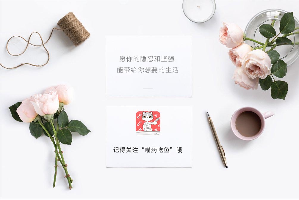 猫咪腹泻可以服用人吃的药吗,猫咪拉稀是猫瘟吗