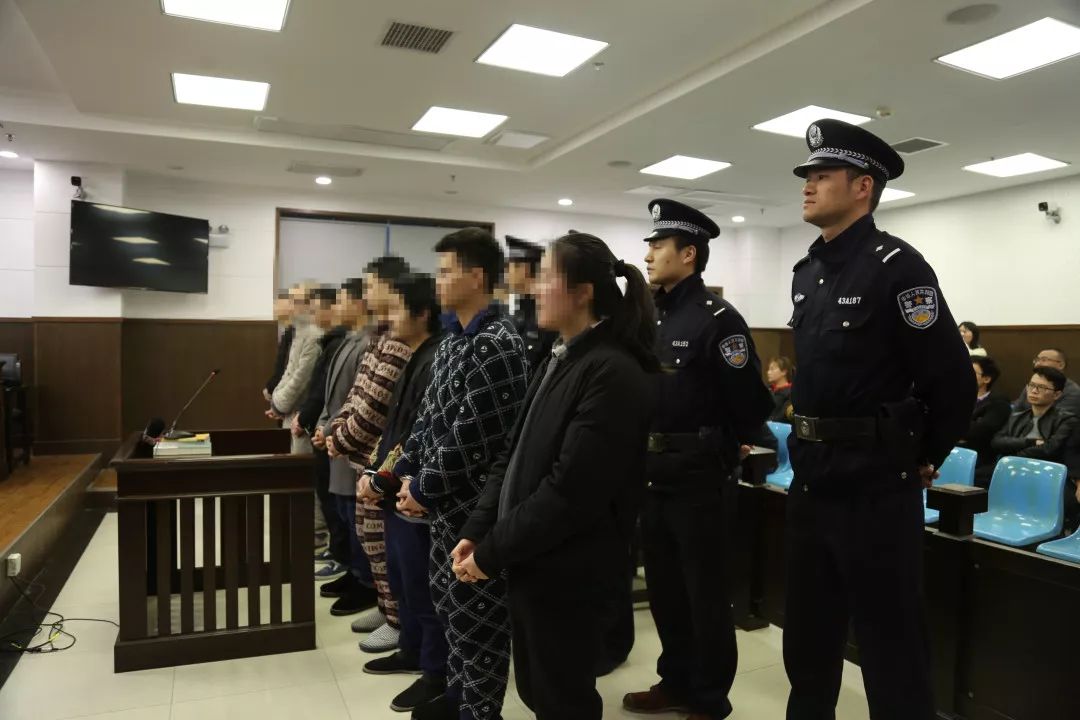 审判京东白条案,京东白条恶意赊购