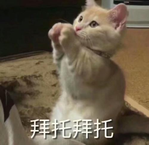 日语领会日语中的那些近义词千万别用错~