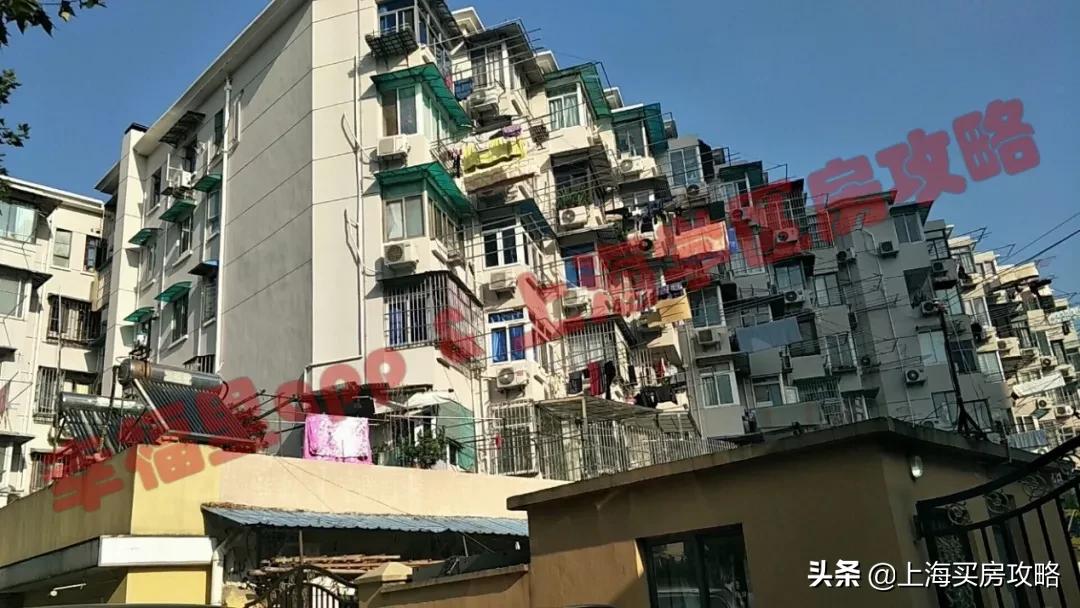 全市稀缺的优质公立双学区！被低估的北区王者！闸北实验小学测评