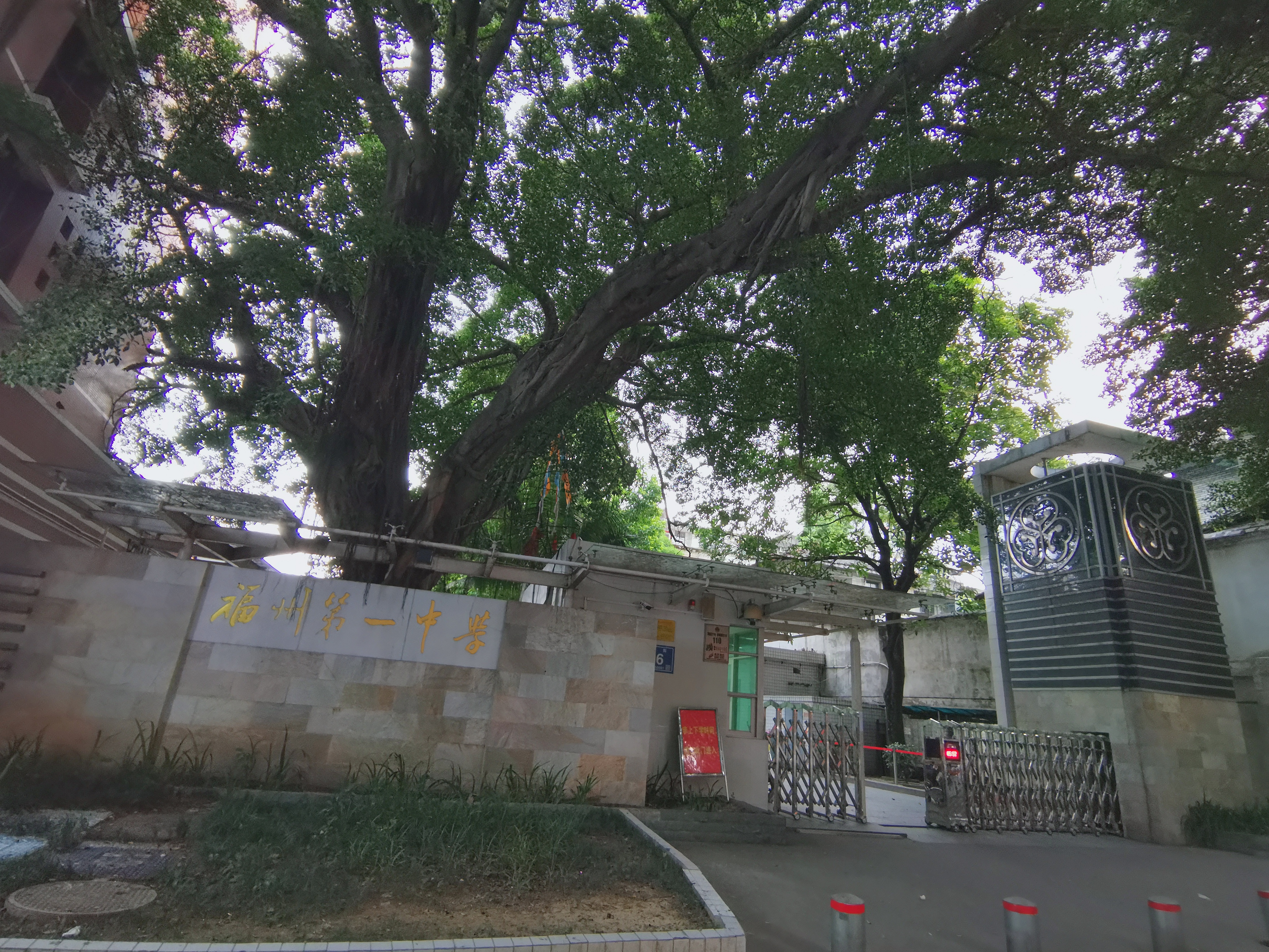 福建情结,福建人的家族情结