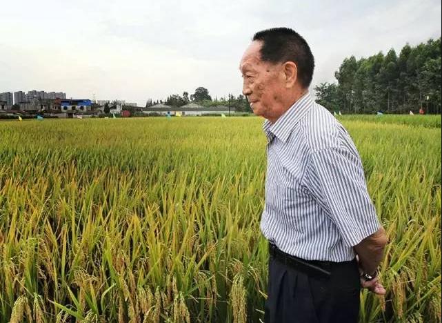 老街味道诗词观唐习律全集1-108，含观唐绝句观宋填词合集链接
