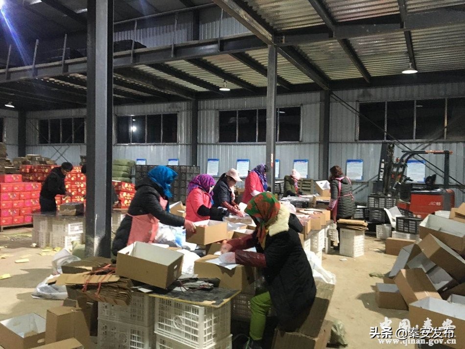 【脱贫致富带头人】何义义：返乡创业感恩故土投资办厂造福桑梓