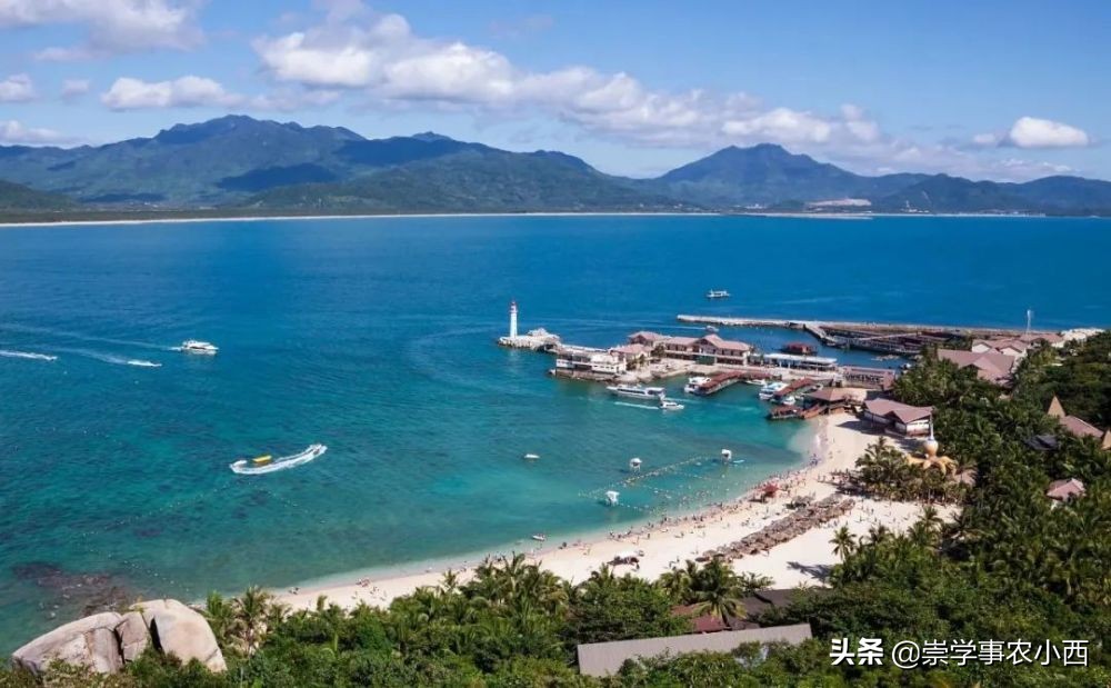 海南季节性蔬菜,海南一年四季蔬菜有哪些