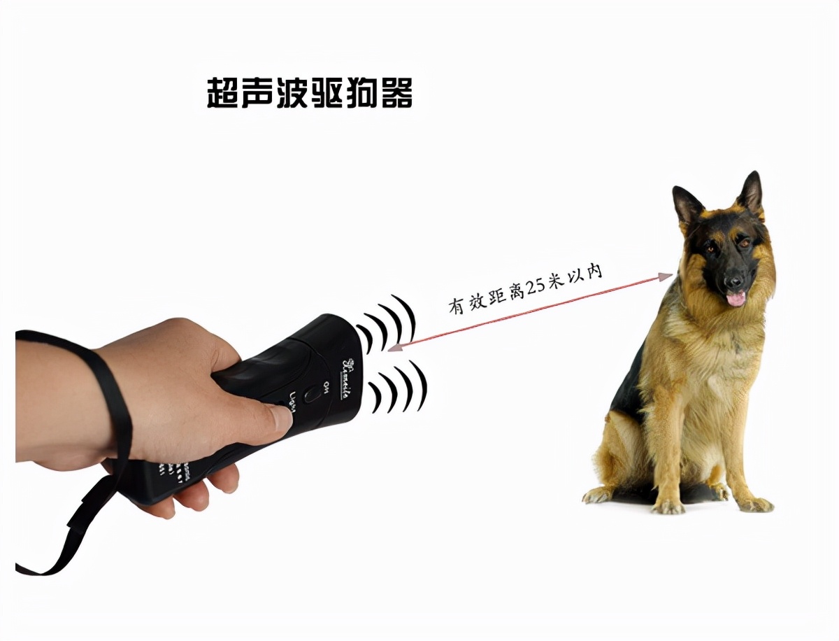 遇到恶狗攻击人如何自救,恶狗攻击人