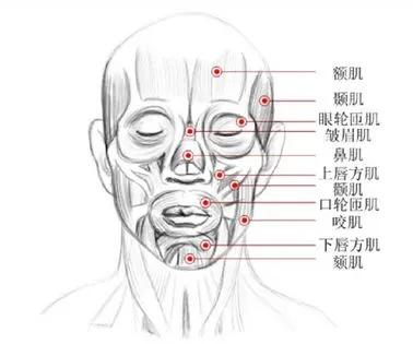 现在的学生不可以批评吗,现在的学生为什么总是骂人