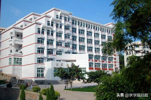 福建十大专科排名,福建2019年专科院校排名