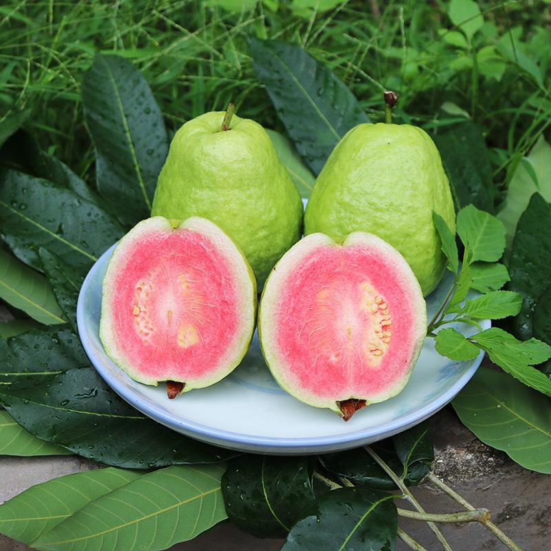 南方最有名特色美食,南方不为人知的特产美食