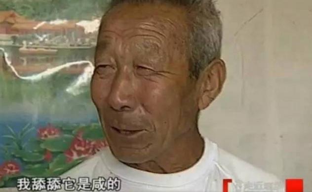 走近科学为什么停播了,走近科学为啥停播了