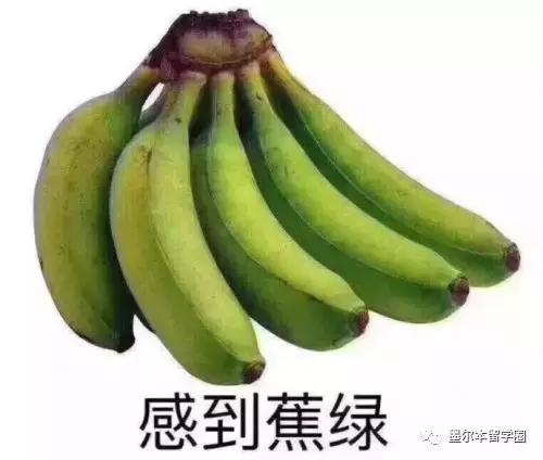 墨尔本ct租房找室友,墨尔本最新租房法