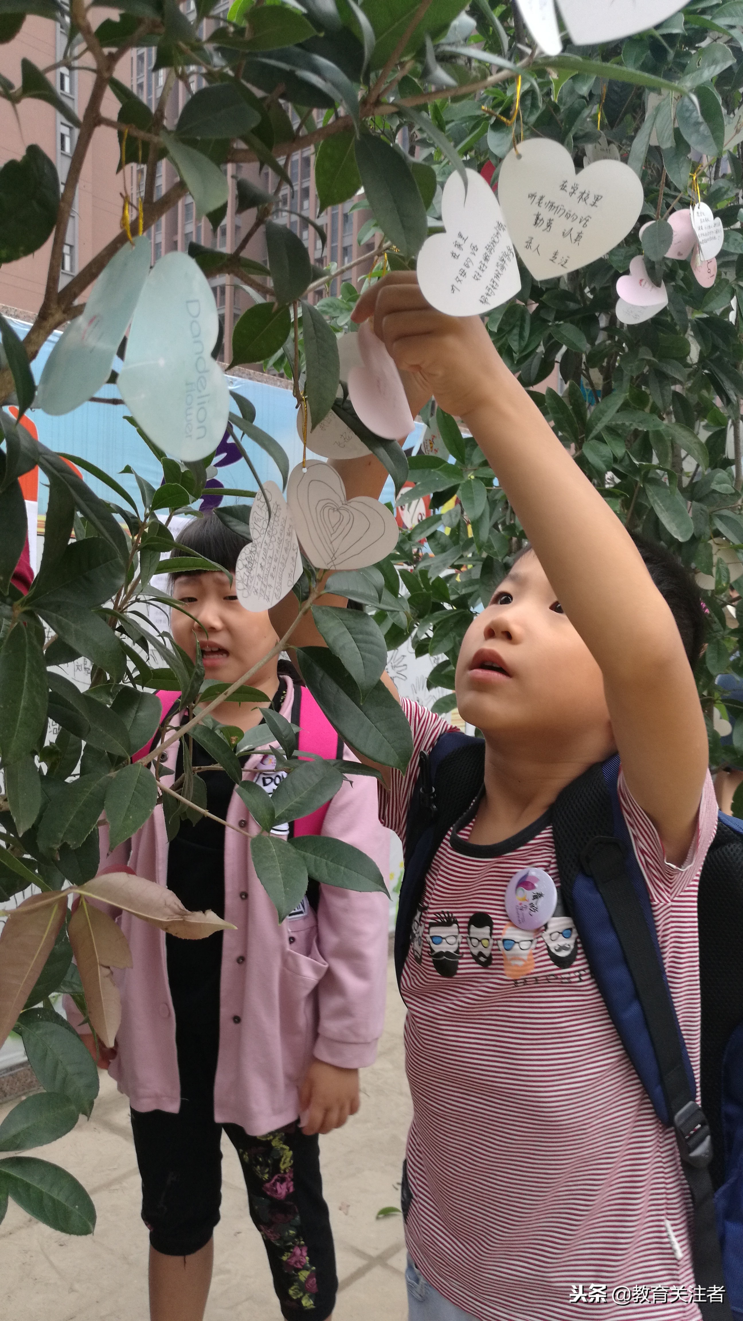 郑州市管城回族区春晓小学介绍,郑州市管城回族区春晓小学电话