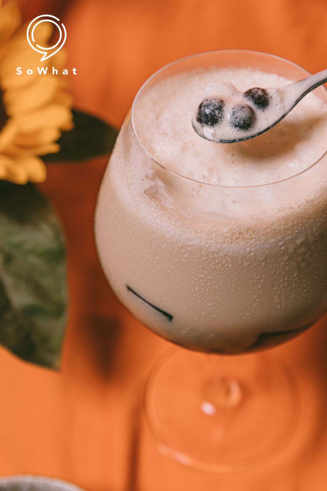 与其戒奶茶屡屡失败，不如安安分分做个奶茶系少女