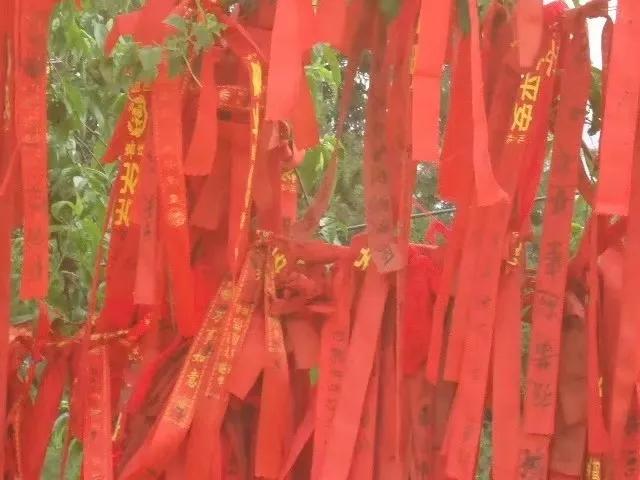 楼观台国家森林公园竹林,楼观台国家森林公园海拔