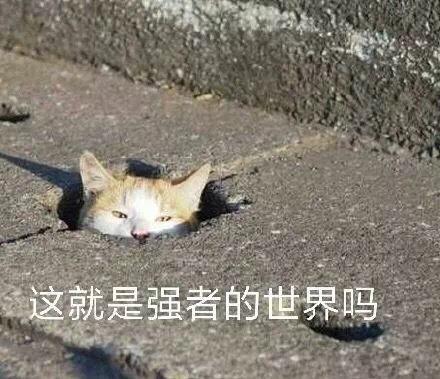 hr教你写个人简历攻略,10年资深hr手把手教你打造简历