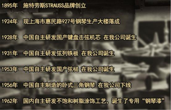 约翰施特劳斯钢琴名曲,施特劳斯钢琴官网报价