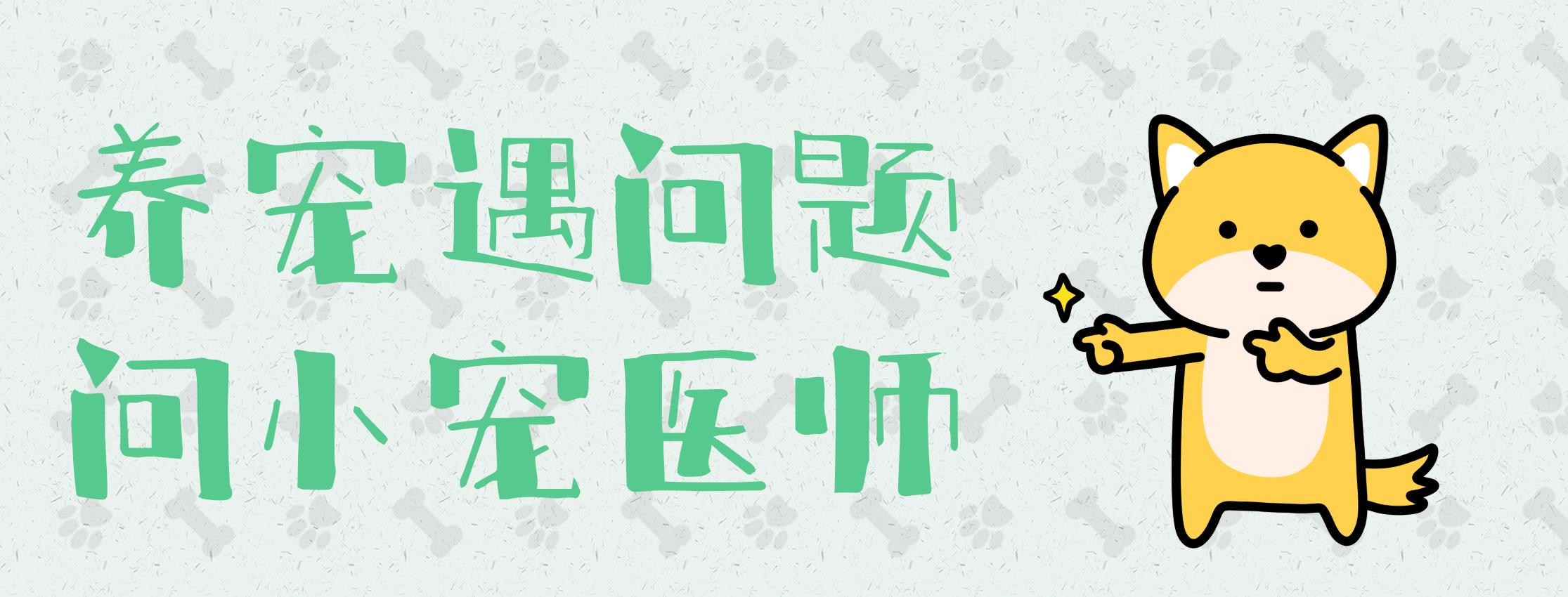 爱宠检查,宠物化验单