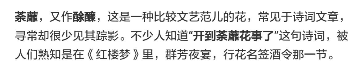 荼蘼不争春寂寞开最晩彭连熙图说十二月花神
