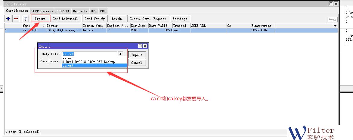 RouterOS和WSG上网举止管理网关如何使用Openvpn组网？
