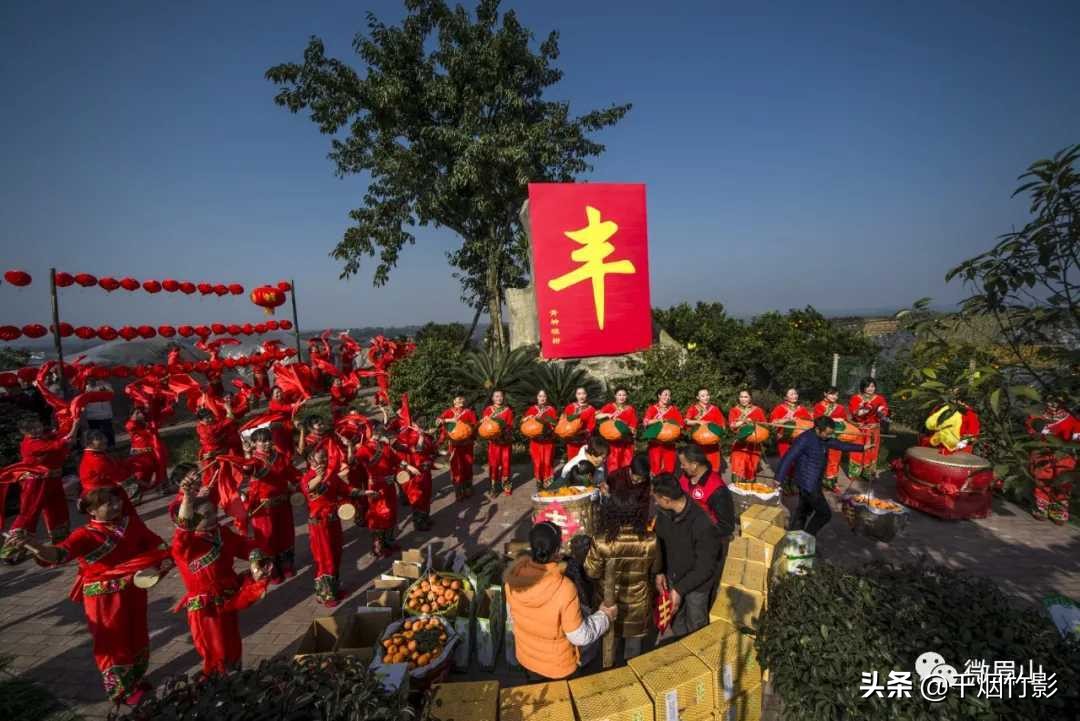 不知火春见,不知火丑橘春见