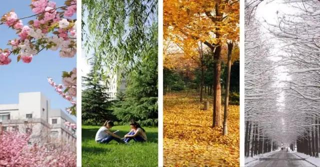 西安十大最差的大学,西安最差的十所大学