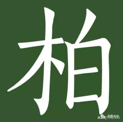 柏汉字怎么读,柏字汉字演变