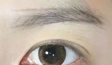 眉毛怎么修更好画,眉毛修毁了怎么画眉毛