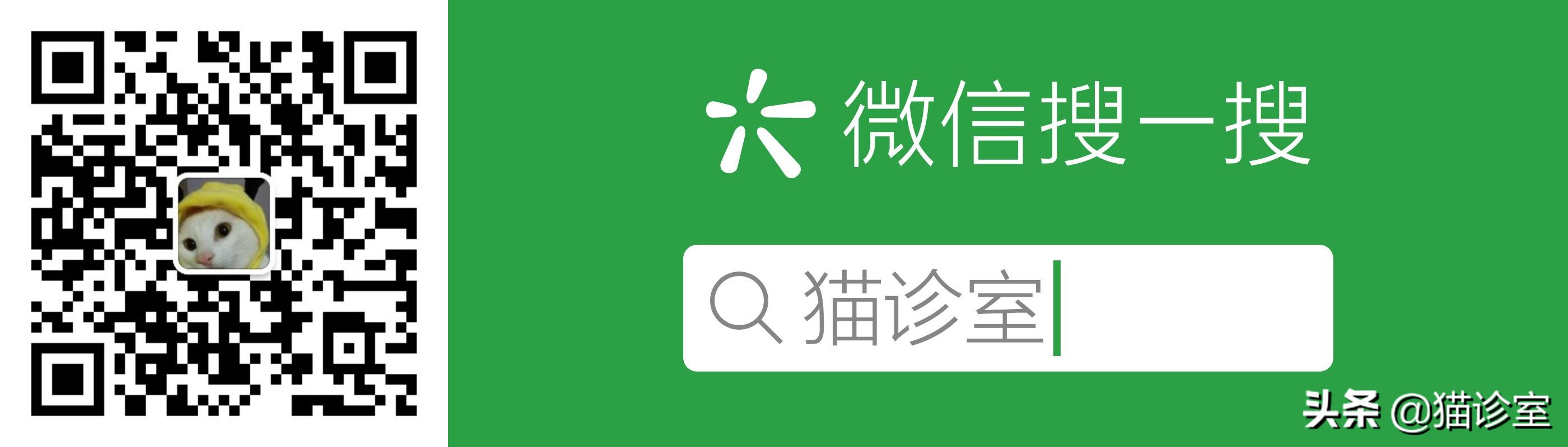 猫癣2.1：猫咪长了猫癣怎么治